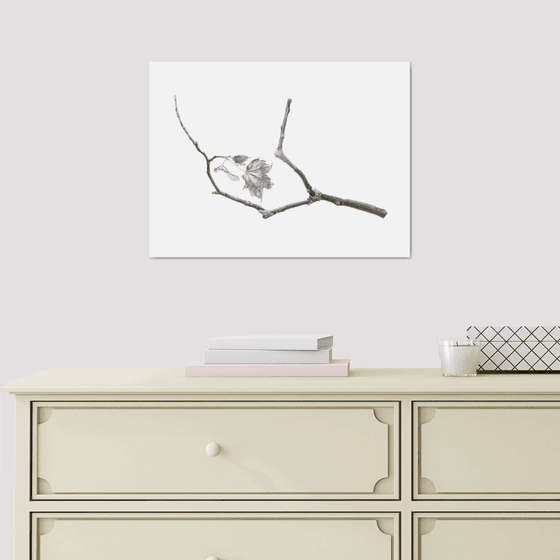 Ephemeral Balance (Maple branch) Drawing