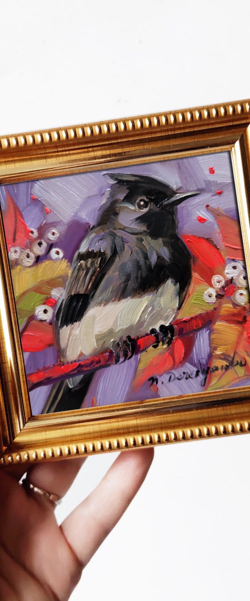 Black Phoebe on branch bird by Nataly Derevyanko