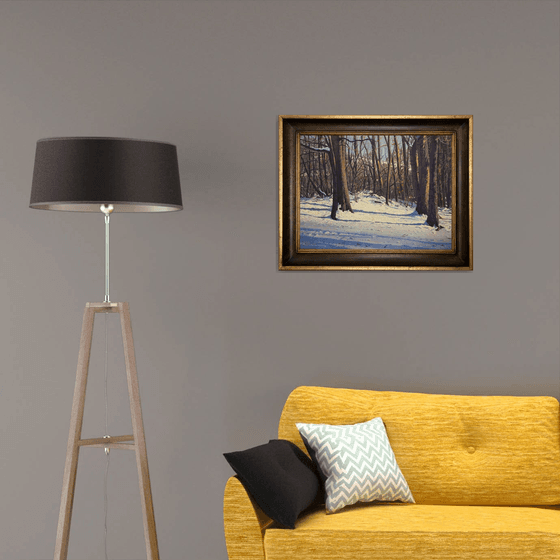 Winter Stillness: Snow and Shadow