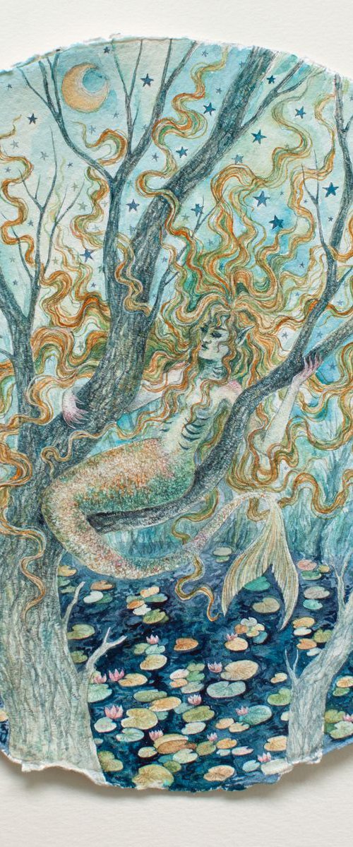 Watercolor Mermaid on the tree by Liliya Rodnikova