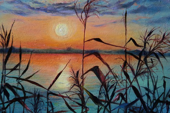 Sunset in the river reeds