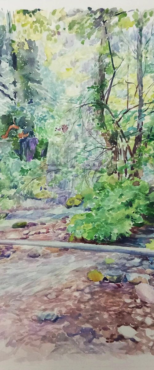 Forest watercolor painting by Jelena Milojevic