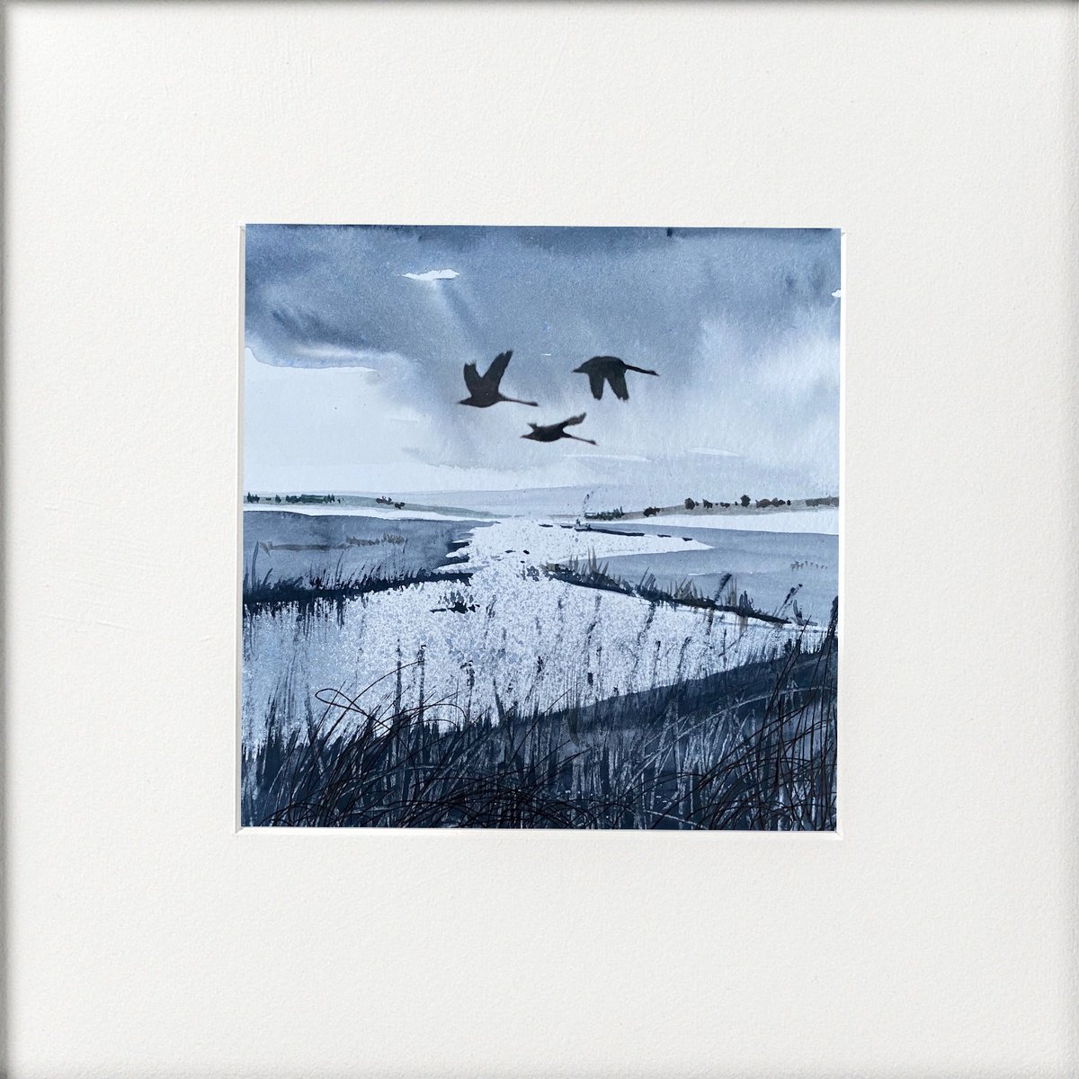 Monochrome - Swans Flying over wetlands by Teresa Tanner