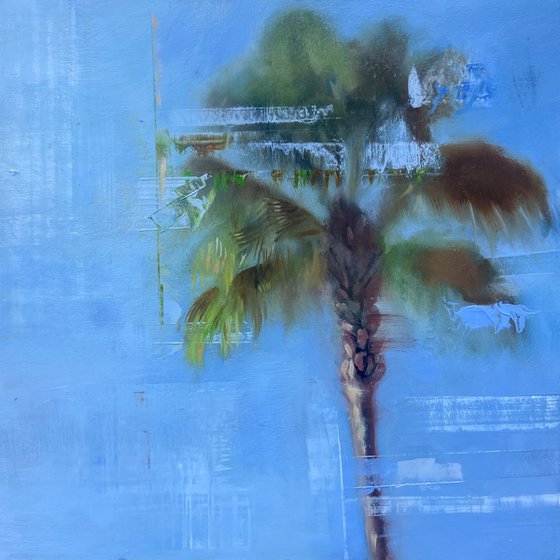 Beach Palm Trees