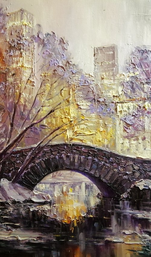 New York Central park by Artem Grunyka