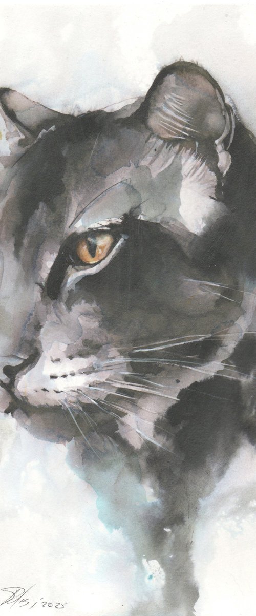 Panther by Maurizio Puglisi