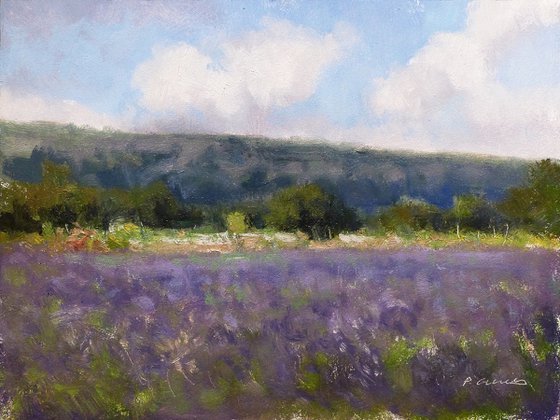 Lavender Fields Chemin des Ateliers