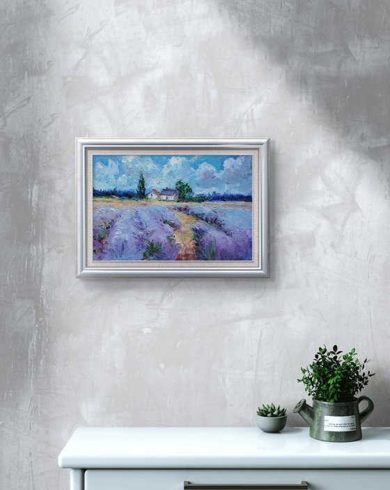 Lavender Dreams