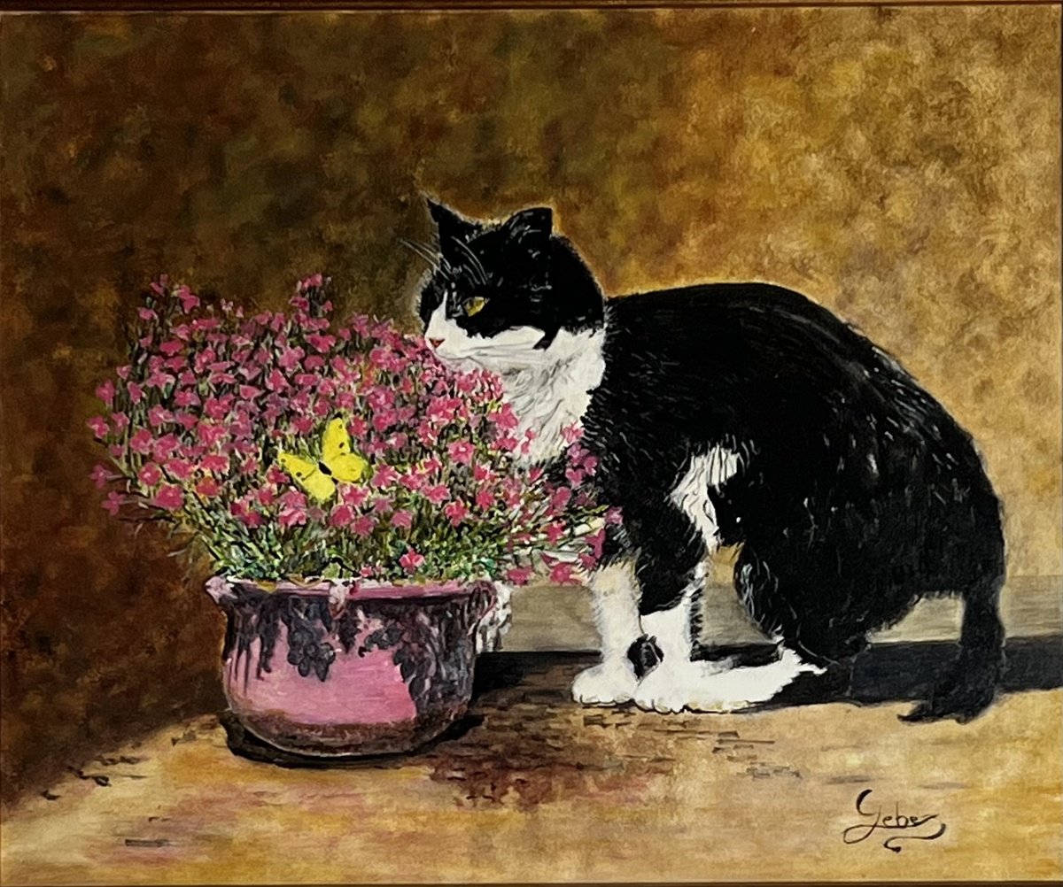 Butterfly And Cat By Isabelle Lucas, 22 X 20, Artwork For Sale On Artfinder