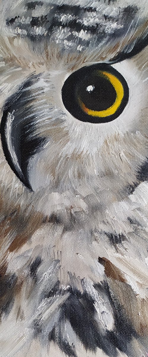 Owl by Nataliia Plakhotnyk