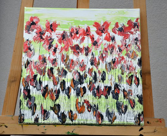 Poppy Flowers 2