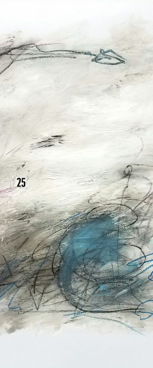 There are 25 Individuals in Population 1 by Jake Nordstrum