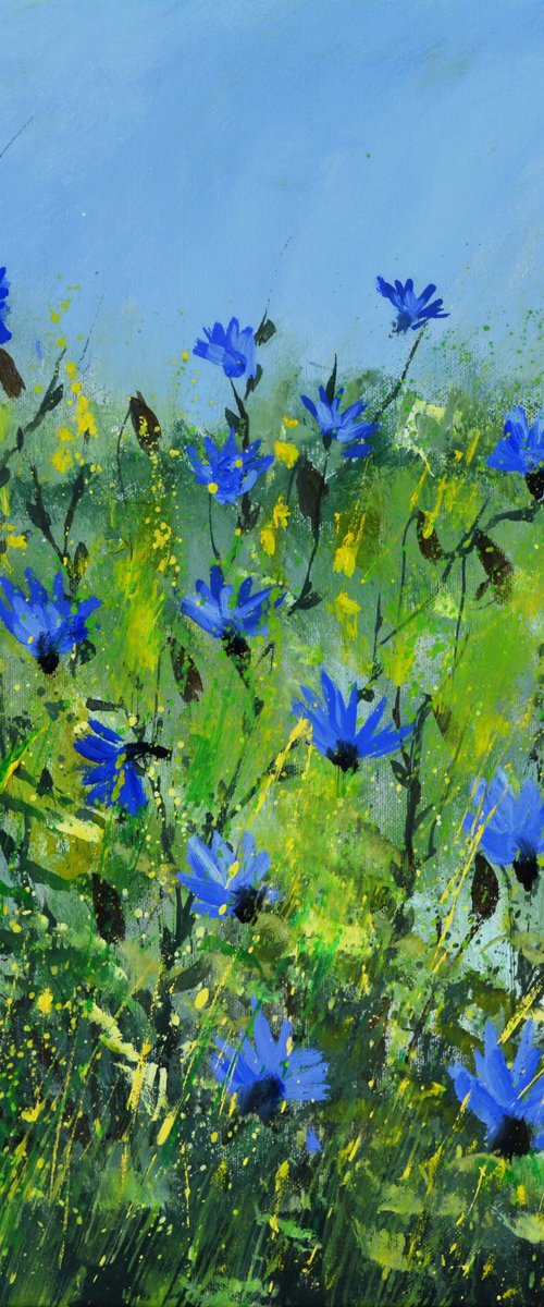 Cornflowers   -  5523 by Pol Henry Ledent