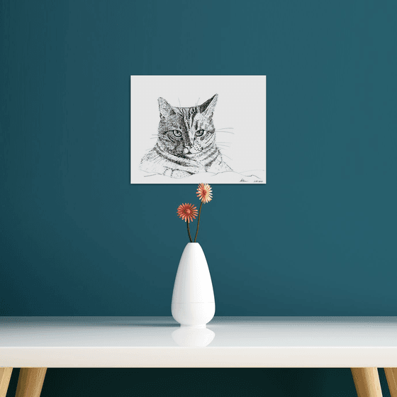 A cat with intelligent eyes - Gift for animal lovers.