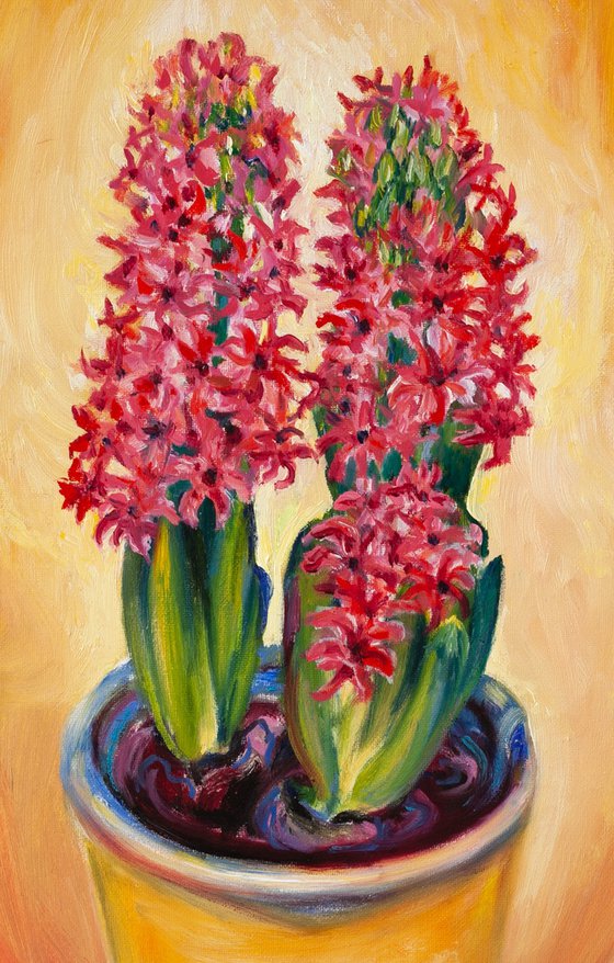 Playful Joy of Hyacinths