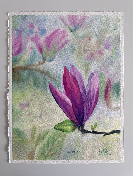 Blooming Pink Magnolia