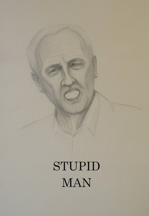 Stupid Man by Mackenzie Scott Clowes