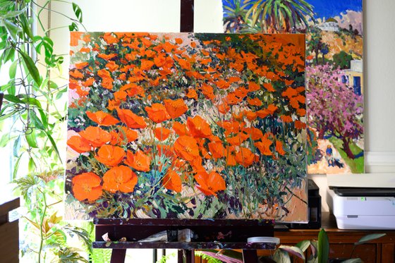 California Poppies