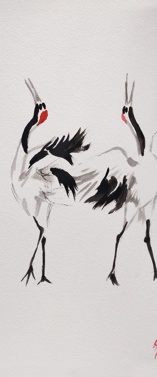 DANCE OF THE CRANES by Nicolas GOIA
