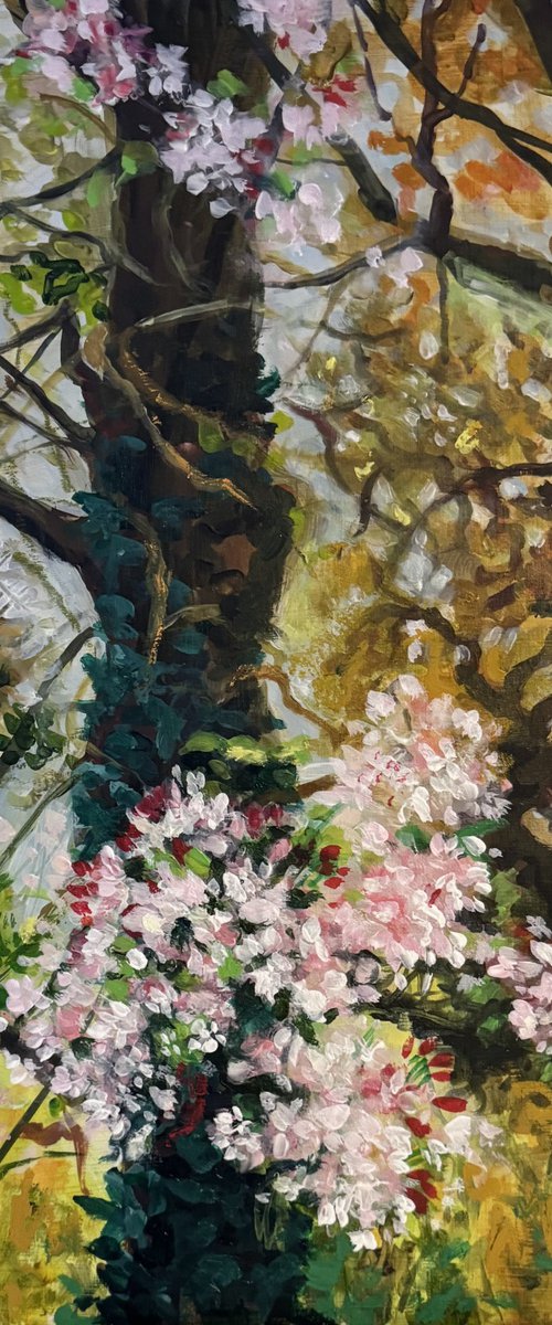 Ivy and blossom 3 by Ayse McGowan