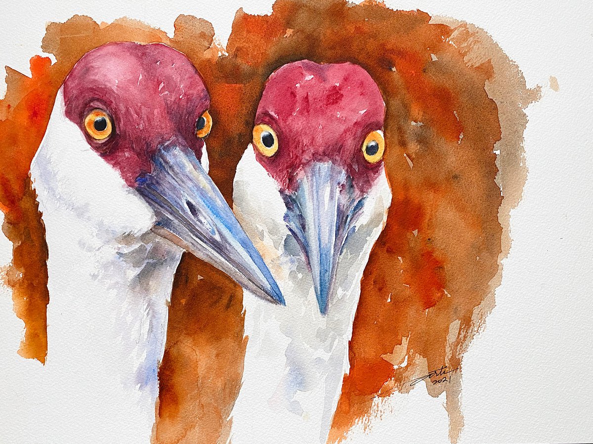 Curious Cranes by Arti Chauhan