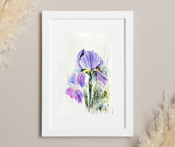 Iris Flowers