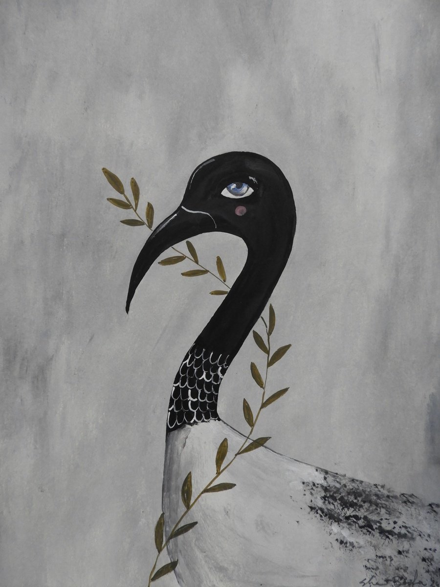 The Sacred Ibis by Silvia Beneforti