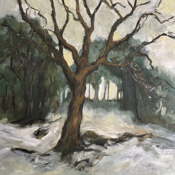 Lingering Snow