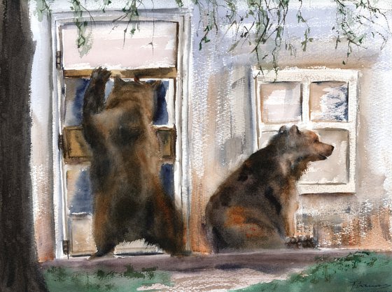 Curious Visitors