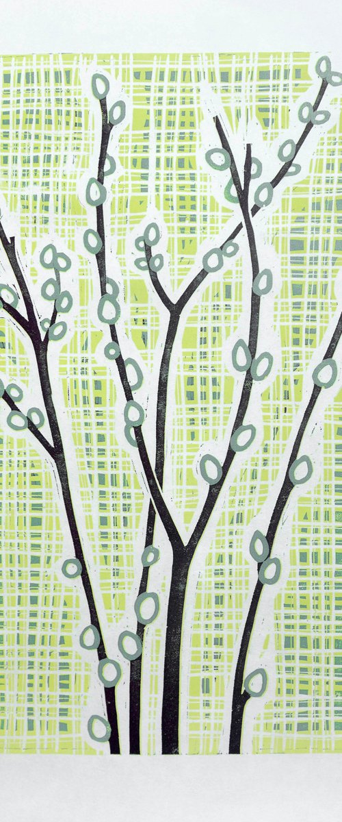 Willow Branches by Melissa Birch