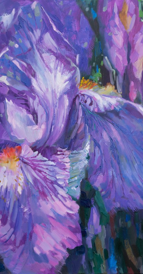 Lilac iris by Anna Shesterikova