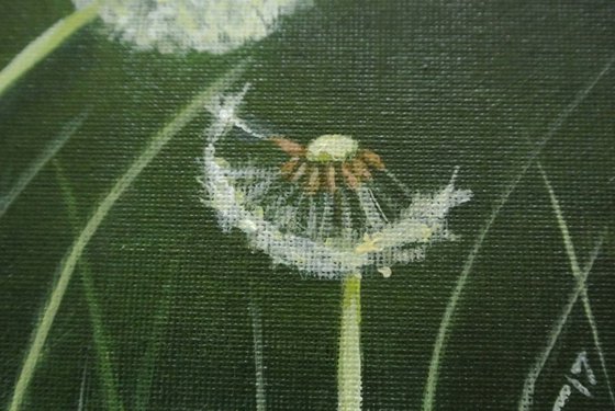 Dandelion Oil Painting 3