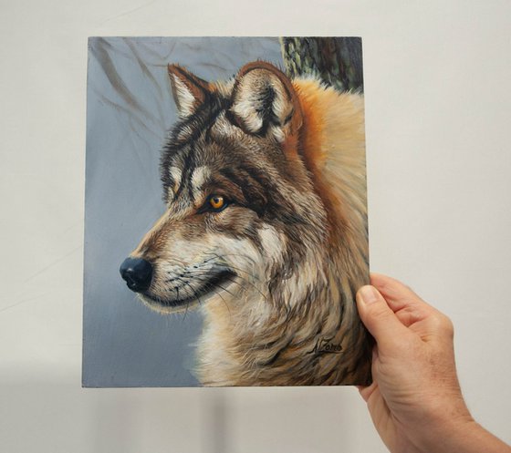 "Wild Gaze" — Grey Wolf Portrait