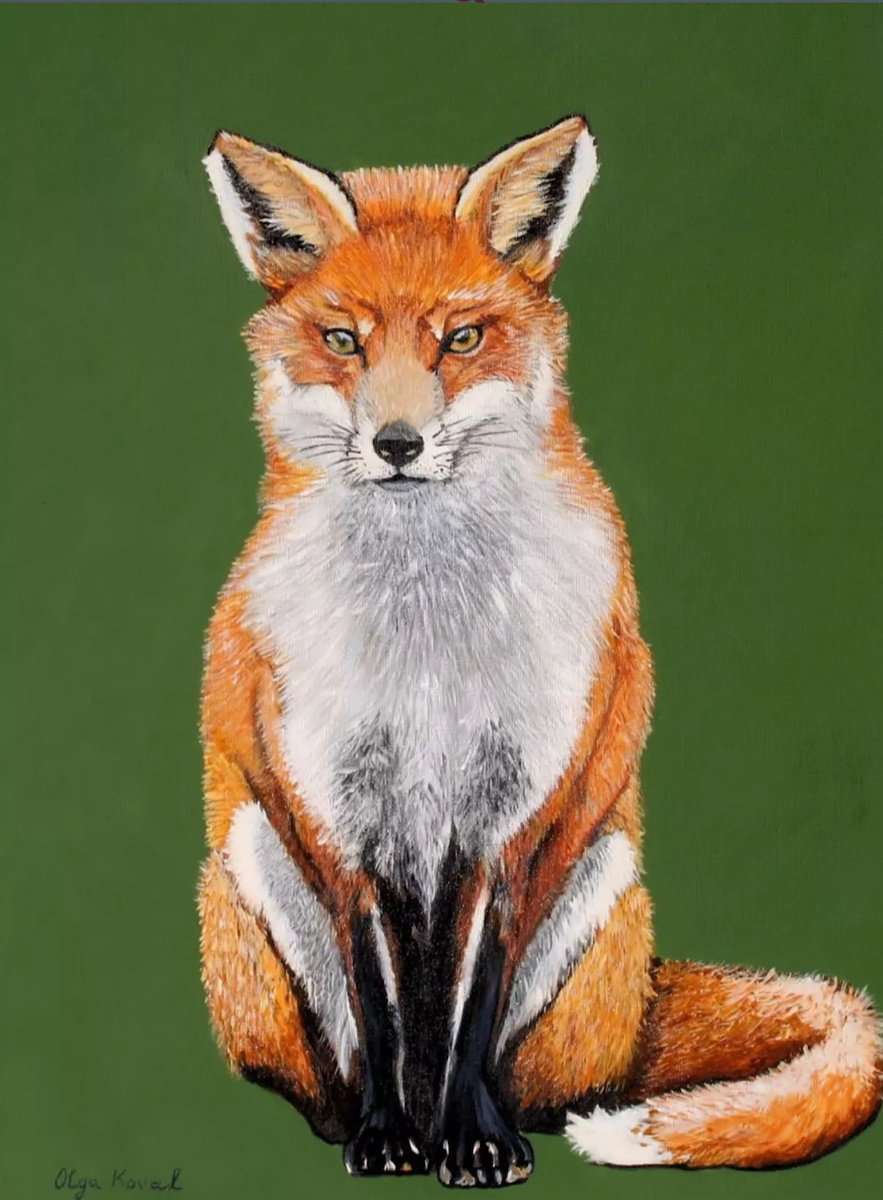 Photorealistic Oil Painting , Fantastic Fox By Olga Koval, 18 X 24, Artwork For Sale On Artfinder