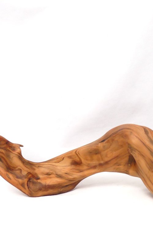 Mist Dragon by J. Lane