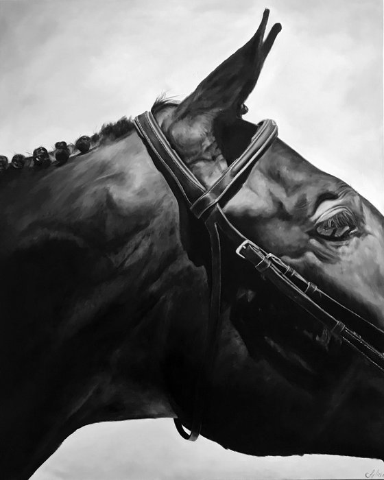 Oil painting with a horse "Nobility" 80*100 cm