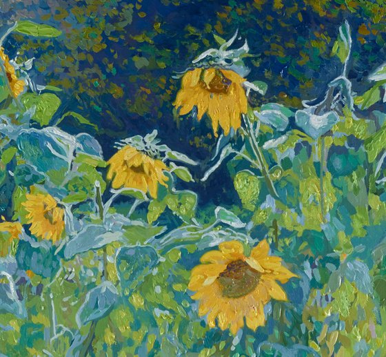 Sunflowers in Kolomenskoye