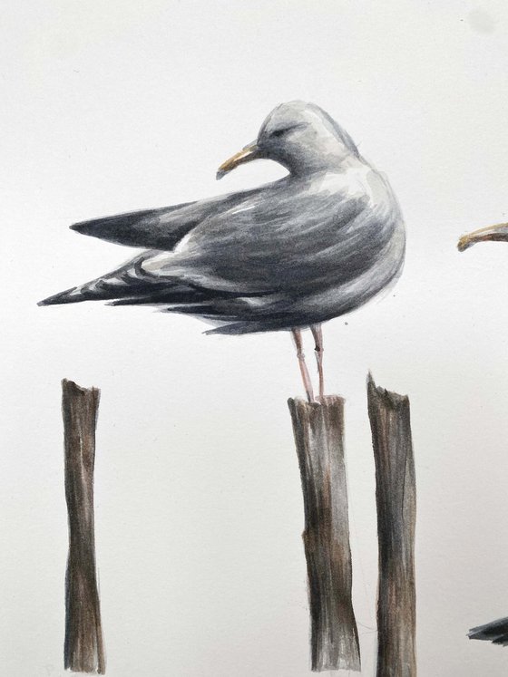 seagulls. One of a kind, original painting, handmade work, gift, watercolour art.