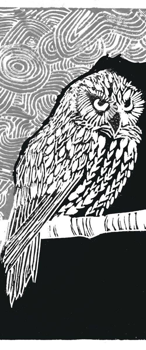 Night Owl by Billie Josef