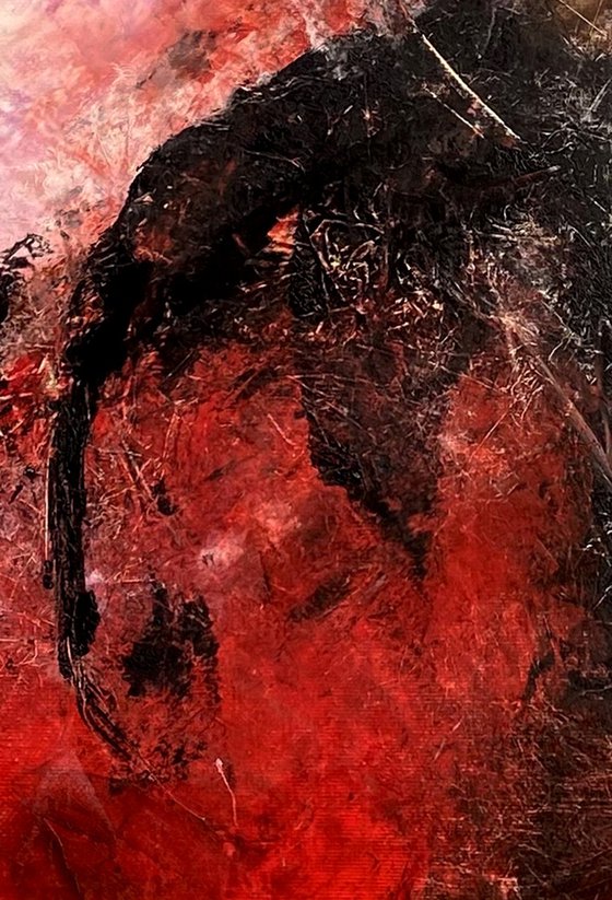L'esodo dell'elefante