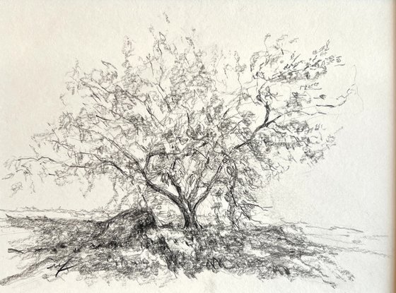 The Tree of Four Seasons