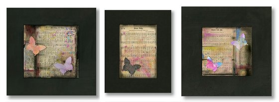Butterfly Medley Collection 3