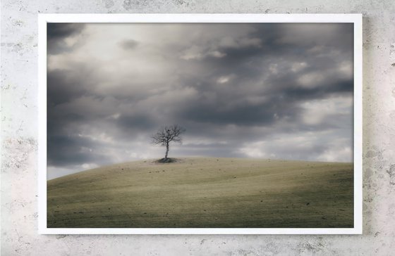 A lone tree on a hilltop (s.3)