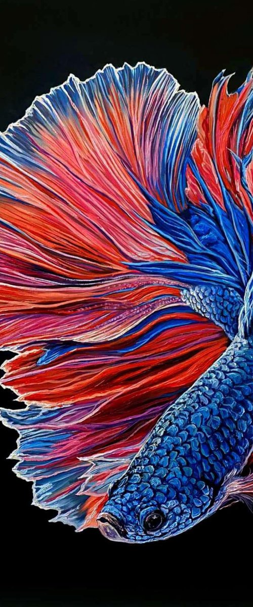 Betta fish/ Fighting fish by Elena Adele Dmitrenko