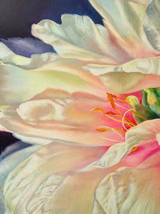 "Pearl. " peony  flower 2022