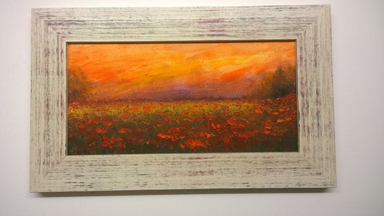 "POPPY SUNSET"