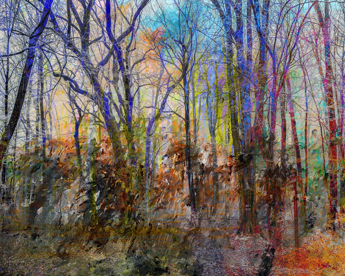 Expressive Landscape Photograph By Geert Lemmers Fpa, 39 X 31, Natural Woodlight 36 New, Original Artwork