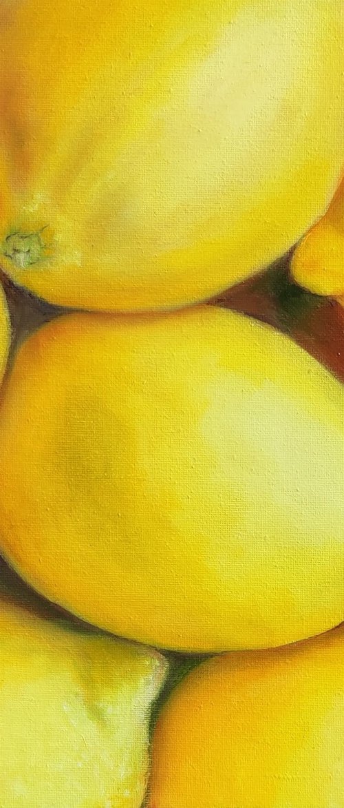 Lemons by Francesca Licchelli