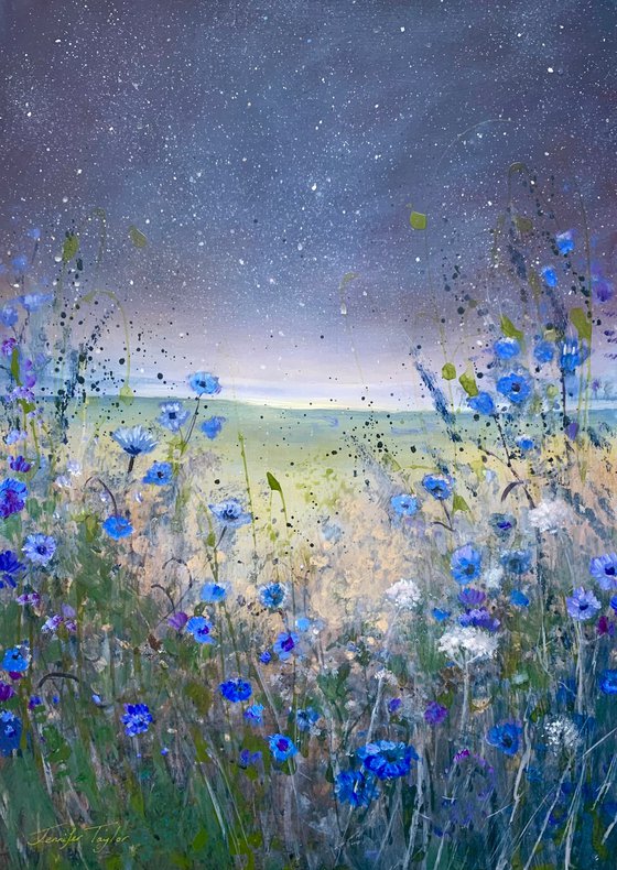 Cornflowers Under The Stars