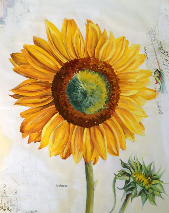 Sunflower of the World
